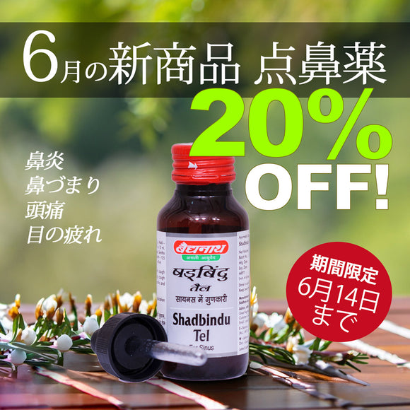 ＼＼20％OFF！ 6月の新商品 6/14まで／ ／