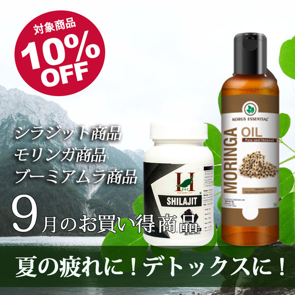 ＼＼10％OFF！ 9月の人気商品セール開催中／ ／