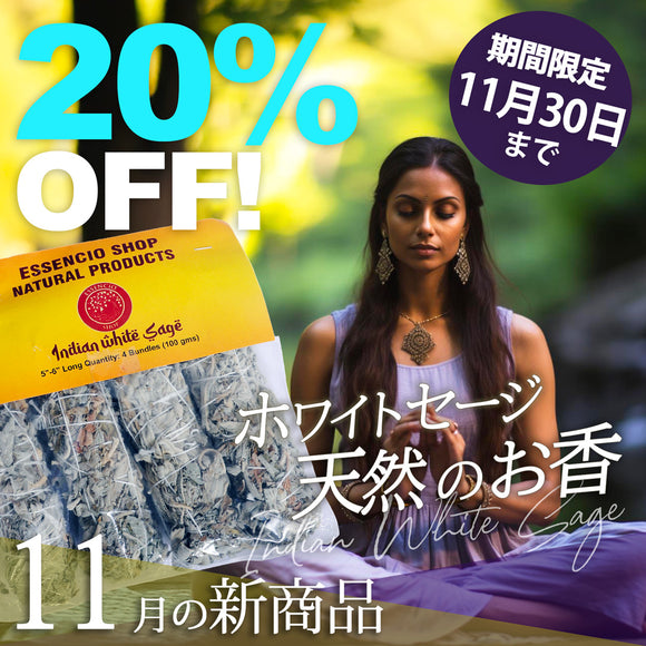 ＼＼20％OFF！ 11月の新商品 11/30まで／ ／