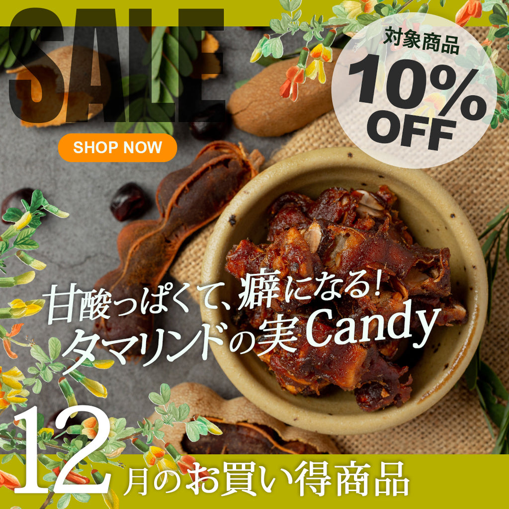 ＼＼10％OFF！ 12月の人気商品セール開催中／ ／