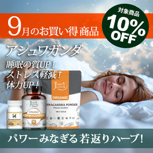 ＼＼10％OFF！ 9月の人気商品セール開催中／ ／