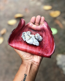 天然フランキンセンス樹脂お香 スティック