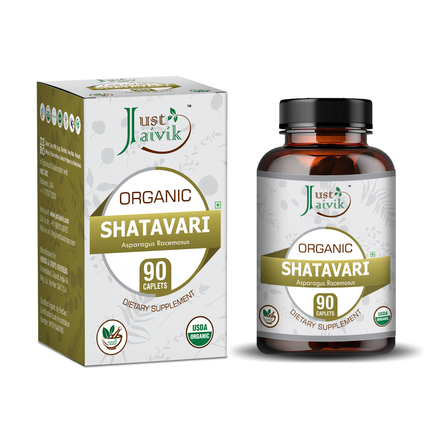 Shatavari_3436c585-f65c-4bd1-